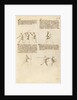 Combat with Sword, Staff, and Lance by Fiore Furlan dei Liberi da Premariacco