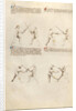 Combat with Sword by Fiore Furlan dei Liberi da Premariacco
