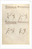 Combat with Sword by Fiore Furlan dei Liberi da Premariacco