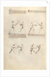 Combat with Sword by Fiore Furlan dei Liberi da Premariacco