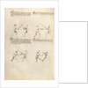 Combat with Sword by Fiore Furlan dei Liberi da Premariacco