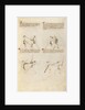 Combat with Sword by Fiore Furlan dei Liberi da Premariacco