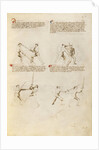 Combat with Sword by Fiore Furlan dei Liberi da Premariacco