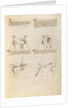 Combat with Sword by Fiore Furlan dei Liberi da Premariacco