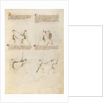 Combat with Sword by Fiore Furlan dei Liberi da Premariacco