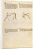 Combat with Sword by Fiore Furlan dei Liberi da Premariacco