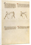 Combat with Sword by Fiore Furlan dei Liberi da Premariacco