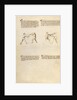 Combat with Sword by Fiore Furlan dei Liberi da Premariacco