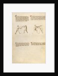 Combat with Sword by Fiore Furlan dei Liberi da Premariacco