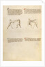 Combat with Sword by Fiore Furlan dei Liberi da Premariacco