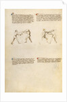 Combat with Sword by Fiore Furlan dei Liberi da Premariacco