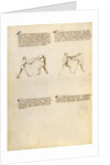 Combat with Sword by Fiore Furlan dei Liberi da Premariacco