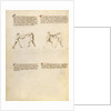 Combat with Sword by Fiore Furlan dei Liberi da Premariacco