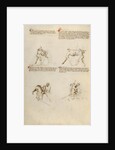 Combat with Sword by Fiore Furlan dei Liberi da Premariacco