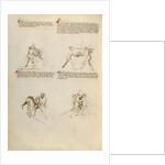 Combat with Sword by Fiore Furlan dei Liberi da Premariacco