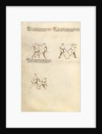 Combat with Sword by Fiore Furlan dei Liberi da Premariacco