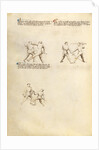 Combat with Sword by Fiore Furlan dei Liberi da Premariacco