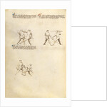 Combat with Sword by Fiore Furlan dei Liberi da Premariacco