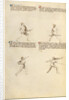 Combat with Sword by Fiore Furlan dei Liberi da Premariacco