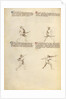 Combat with Sword by Fiore Furlan dei Liberi da Premariacco