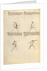 Combat with Sword by Fiore Furlan dei Liberi da Premariacco
