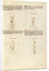 Combat with Sword by Fiore Furlan dei Liberi da Premariacco