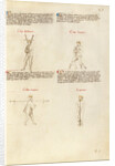 Combat with Sword by Fiore Furlan dei Liberi da Premariacco