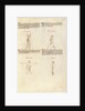 Combat with Sword by Fiore Furlan dei Liberi da Premariacco