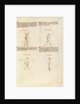 Combat with Sword by Fiore Furlan dei Liberi da Premariacco