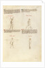Combat with Sword by Fiore Furlan dei Liberi da Premariacco