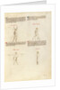 Combat with Sword by Fiore Furlan dei Liberi da Premariacco