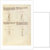 Combat with Sword by Fiore Furlan dei Liberi da Premariacco