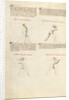 Combat with Sword by Fiore Furlan dei Liberi da Premariacco
