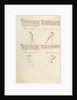 Combat with Sword by Fiore Furlan dei Liberi da Premariacco