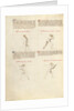 Combat with Sword by Fiore Furlan dei Liberi da Premariacco