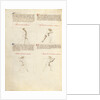 Combat with Sword by Fiore Furlan dei Liberi da Premariacco