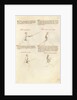 Combat with Sword by Fiore Furlan dei Liberi da Premariacco