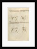 Combat with Sword by Fiore Furlan dei Liberi da Premariacco