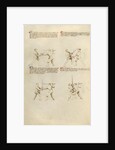 Combat with Sword by Fiore Furlan dei Liberi da Premariacco