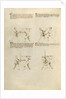 Combat with Sword by Fiore Furlan dei Liberi da Premariacco