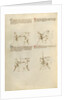 Combat with Sword by Fiore Furlan dei Liberi da Premariacco
