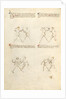 Combat with Dagger by Fiore Furlan dei Liberi da Premariacco
