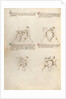 Combat with Dagger by Fiore Furlan dei Liberi da Premariacco