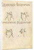 Combat with Dagger by Fiore Furlan dei Liberi da Premariacco
