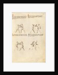 Combat with Dagger by Fiore Furlan dei Liberi da Premariacco