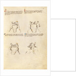 Combat with Dagger by Fiore Furlan dei Liberi da Premariacco
