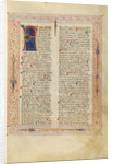 Decorated Text Page by Fiore Furlan dei Liberi da Premariacco