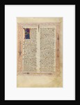 Decorated Text Page by Fiore Furlan dei Liberi da Premariacco