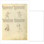 Unarmed Combat by Fiore Furlan dei Liberi da Premariacco