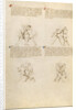 Unarmed Combat by Fiore Furlan dei Liberi da Premariacco